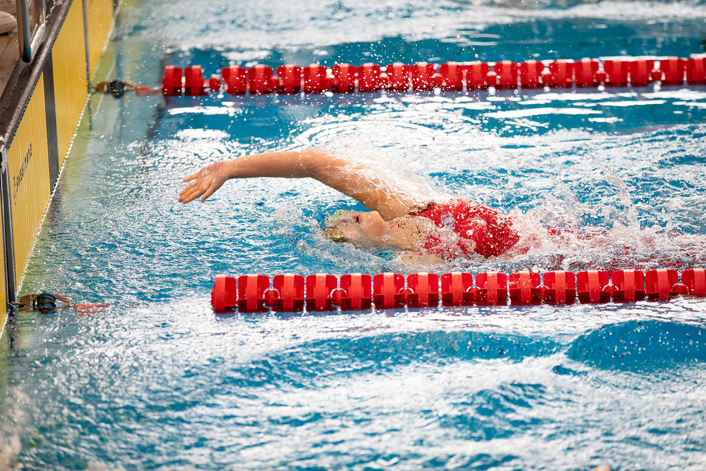 Jednoúrovňová galéria 97