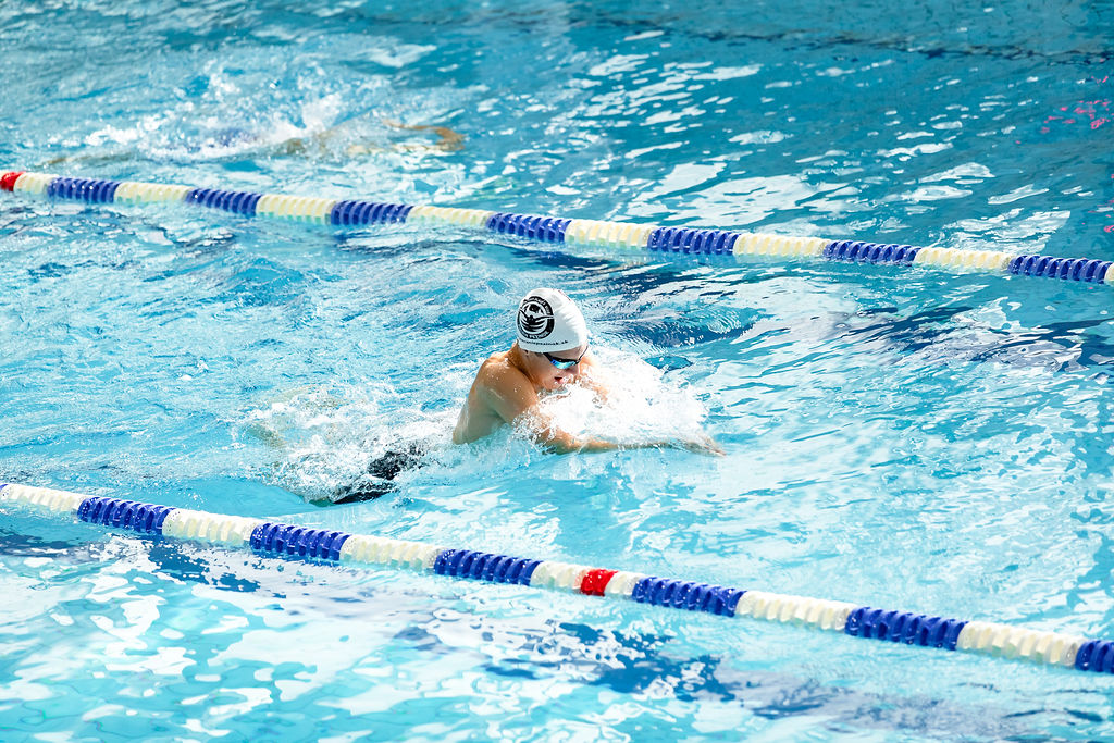 Jednoúrovňová galéria 159